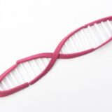 血糖値の上昇は水素水で抑えられる？