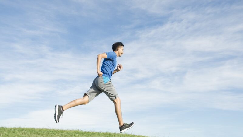 新陳代謝と基礎代謝は何が違うの？