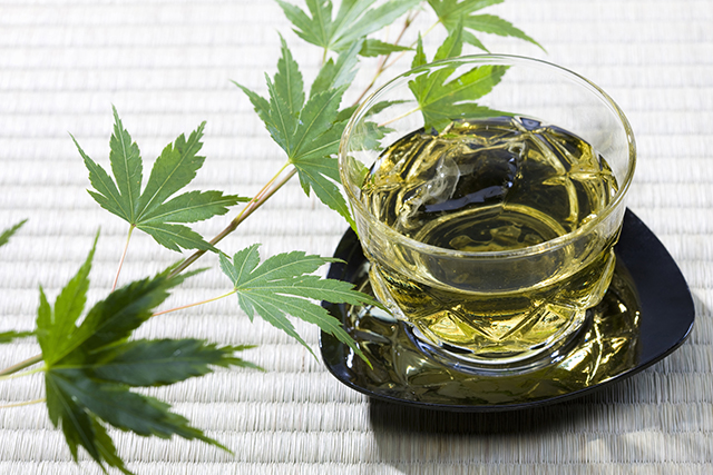 水分補給に向いているお茶について