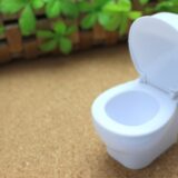 水分を摂りトイレの回数が増えるとデトックスになる？