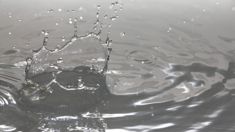 ダイエット中におすすめの水分とは？