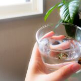 汗をたくさんかくダイエットの水分補給の重要性は？