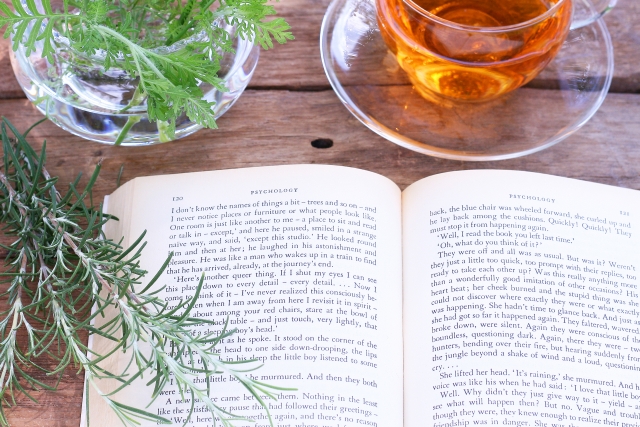 ダイエット時の水分にルイボスティーは選んでいいの?