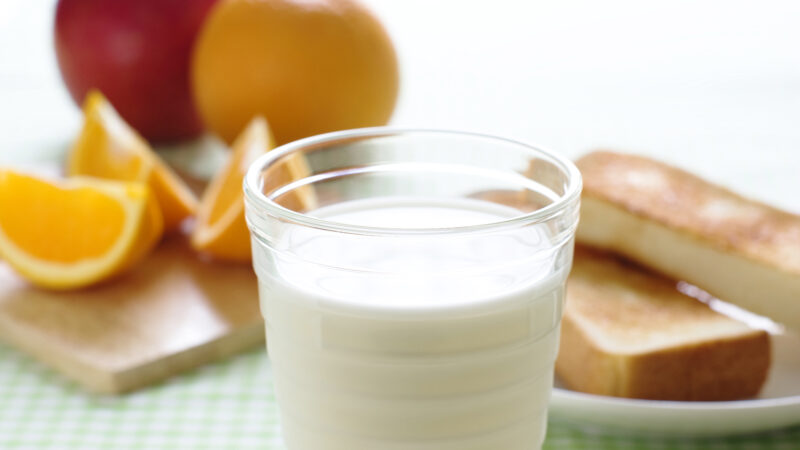 【保存版】水分補給は牛乳でもいいの?