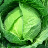 便秘にキャベツは効果がありますか？