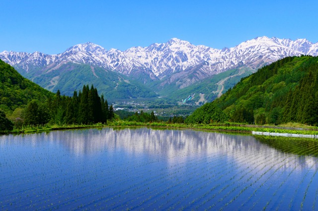 【保存板】アルピナウォーターの採水地はどこ？