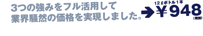 3つの強みをフル活用して業界騒然の価格を実現しました。